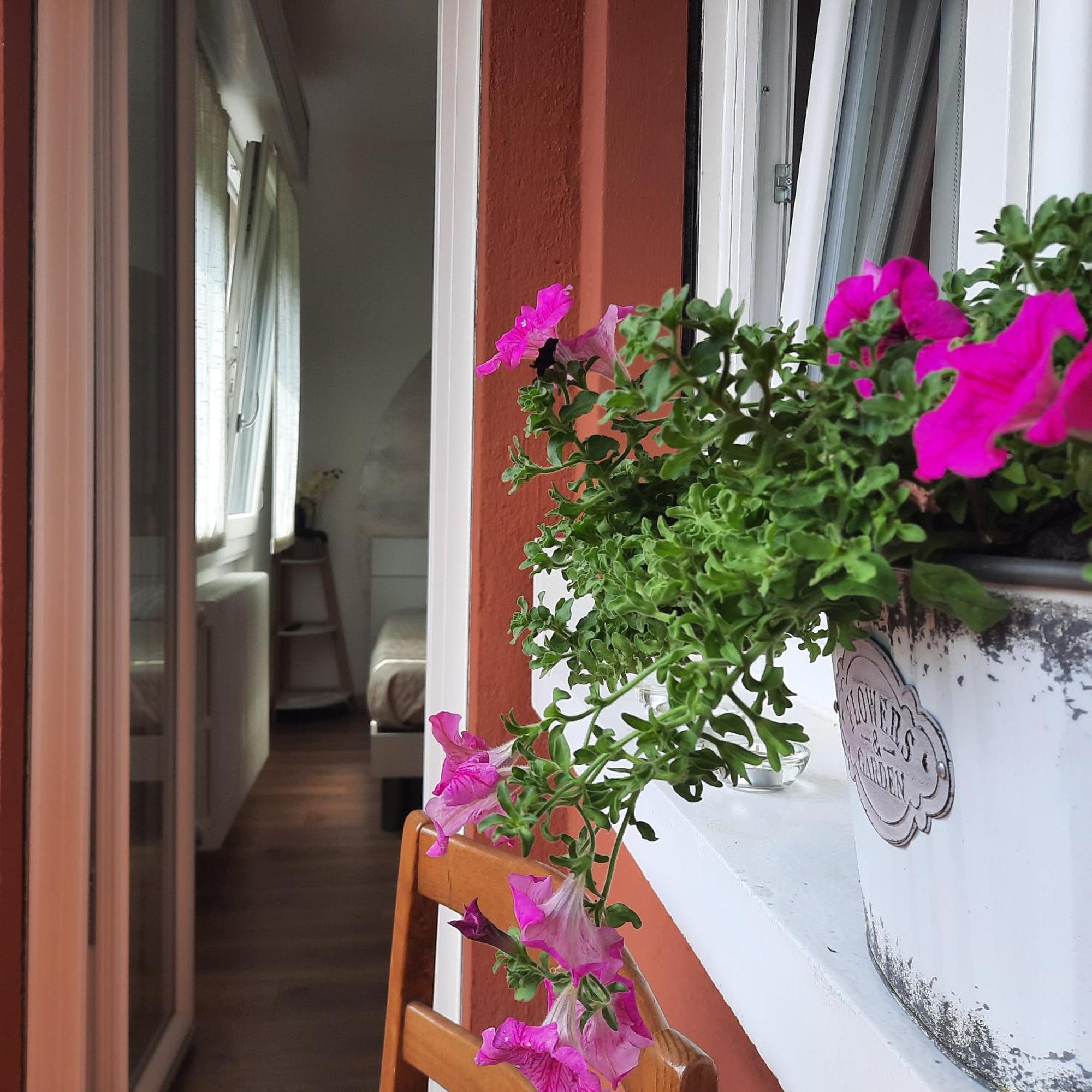 Sprio House Appartement Omegna Buitenkant foto